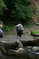 img_2300.jpg