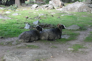 img_2310.jpg
