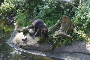 img_2314.jpg