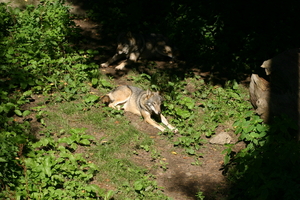 img_2318.jpg