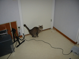 img_2319.jpg