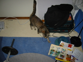 img_2320.jpg