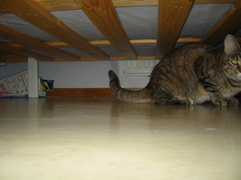 img_2321.jpg