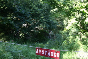 img_2323.jpg
