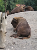 img_2329.jpg