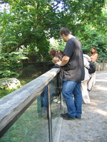 img_2335.jpg