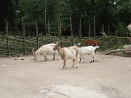 img_2344.jpg