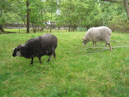 img_2352.jpg