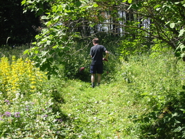 img_2933.jpg