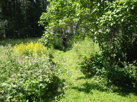 img_2936.jpg