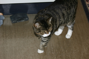 img_2982.jpg