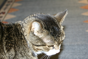 img_2985.jpg