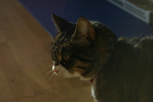 img_2994.jpg