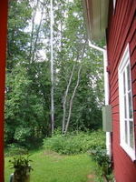 img_3054.jpg