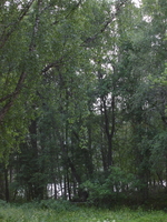 img_3056.jpg