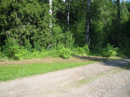 img_3186.jpg