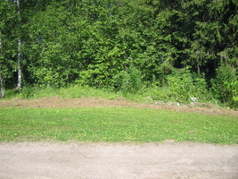 img_3187.jpg