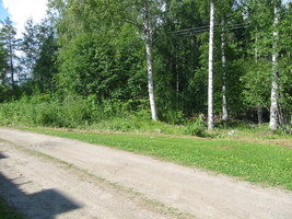 img_3188.jpg