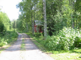 img_3190.jpg