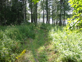 img_3195.jpg