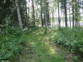 img_3196.jpg