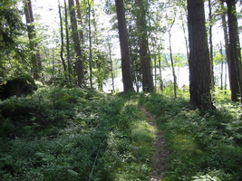 img_3198.jpg