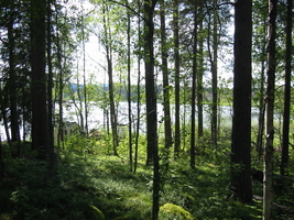 img_3199.jpg