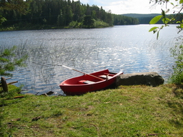 img_3202.jpg