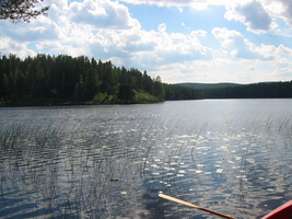 img_3208.jpg