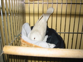 img_3290.jpg