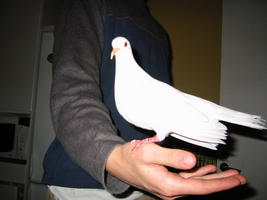 img_3291.jpg