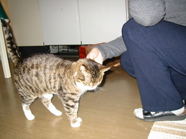 img_3295.jpg