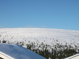 img_3334.jpg