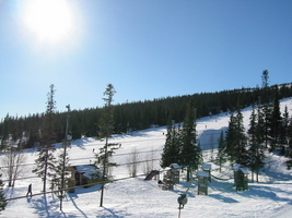 img_3336.jpg