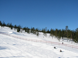 img_3337.jpg