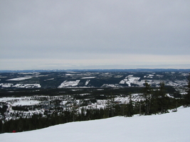 img_3349.jpg