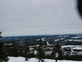 img_3350.jpg
