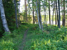 img_4002.jpg
