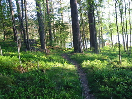 img_4003.jpg