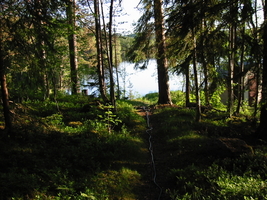 img_4004.jpg