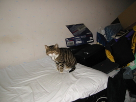 img_4029.jpg