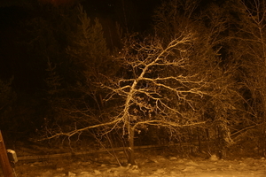 img_4186.jpg