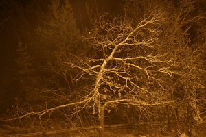 img_4188.jpg