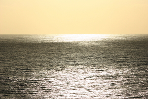 img_4679.jpg