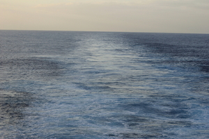 img_4717.jpg
