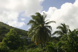 img_4773.jpg