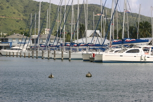 img_4809.jpg