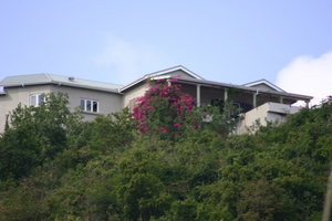 img_4826.jpg