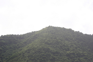 img_4828.jpg