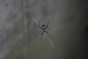 img_4842.jpg